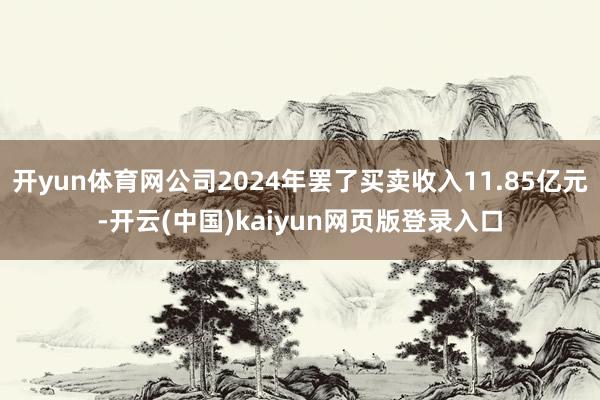 开yun体育网公司2024年罢了买卖收入11.85亿元-开云(中国)kaiyun网页版登录入口