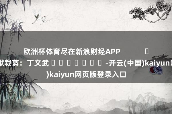 欧洲杯体育尽在新浪财经APP            						包袱裁剪：丁文武 							-开云(中国)kaiyun网页版登录入口