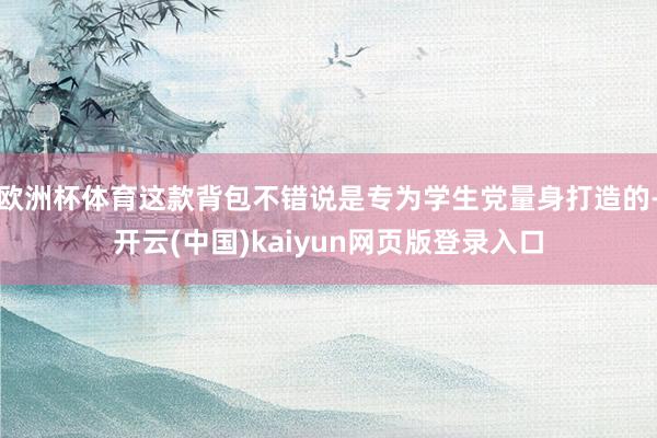欧洲杯体育这款背包不错说是专为学生党量身打造的-开云(中国)kaiyun网页版登录入口
