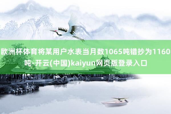 欧洲杯体育将某用户水表当月数1065吨错抄为1160吨-开云(中国)kaiyun网页版登录入口