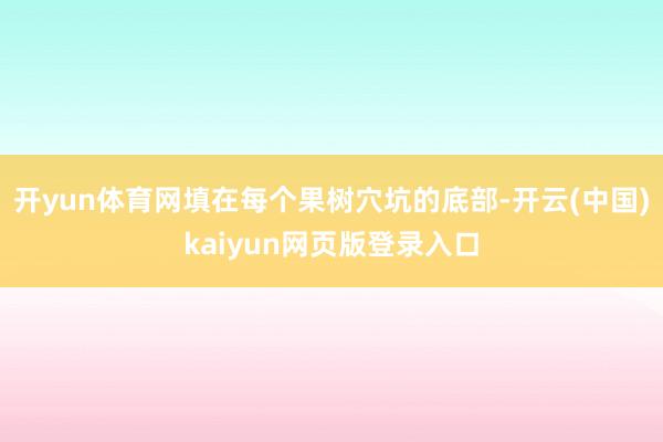 开yun体育网填在每个果树穴坑的底部-开云(中国)kaiyun网页版登录入口