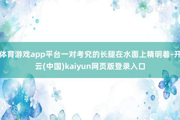 体育游戏app平台一对考究的长腿在水面上精明着-开云(中国)kaiyun网页版登录入口